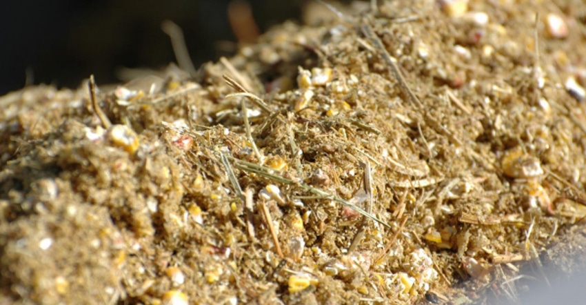olsen-ranch011corn.jpg olsen-ranch011corn.jpg