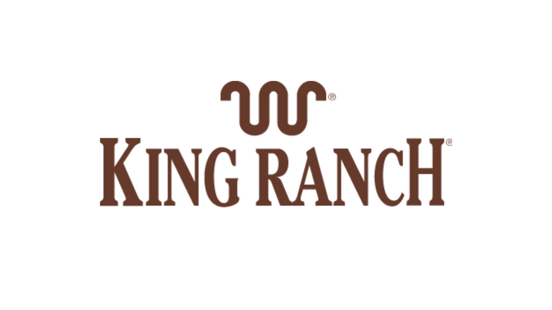 1pc King Ranch 3D Emblem – Black Side Fender Door Or Tailgate Badge Nameplate