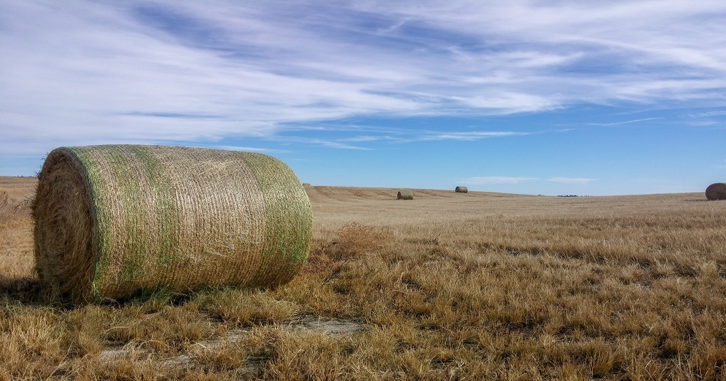 Online Hay Production 101 short course is back by popular demand in 2023 -  Forages