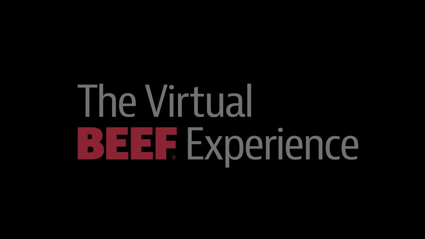 holding slide BEEF VX.jpg holding slide BEEF VX.jpg