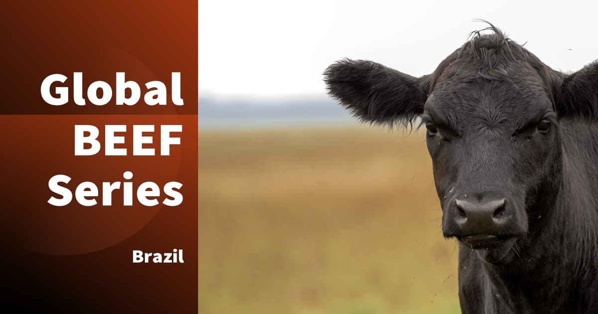Global beef roundup: Focus on Brazil, Part 2