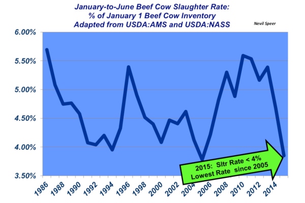 Industry At A Glance: What are the implications of declining beef cow cull rate? Industry At A Glance: What are the implications of declining beef cow cull rate?