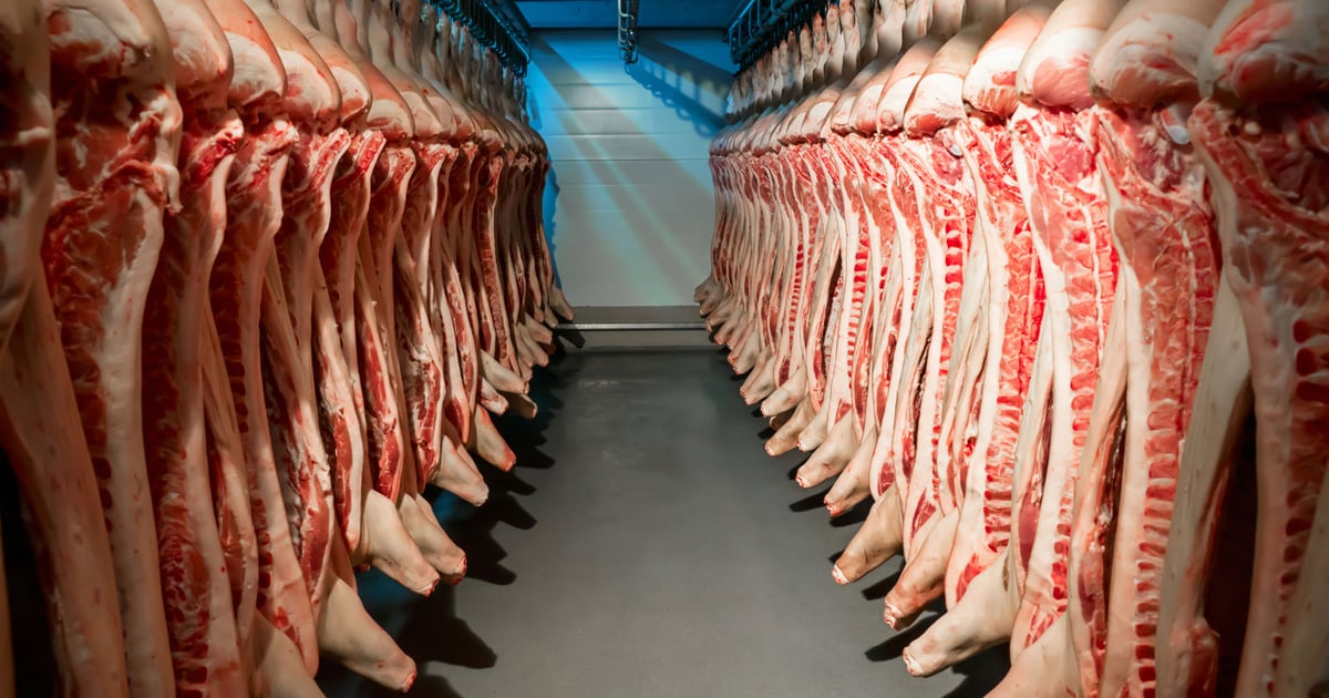 House introduces legislation aimed at meat packers