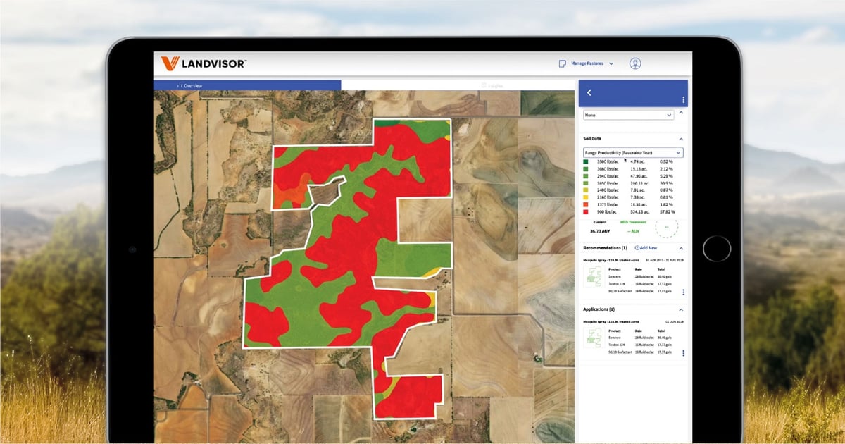 Mesquite control is not an easy task- let LandVisor® improve the odds