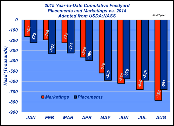 year-to-date feedlot placements