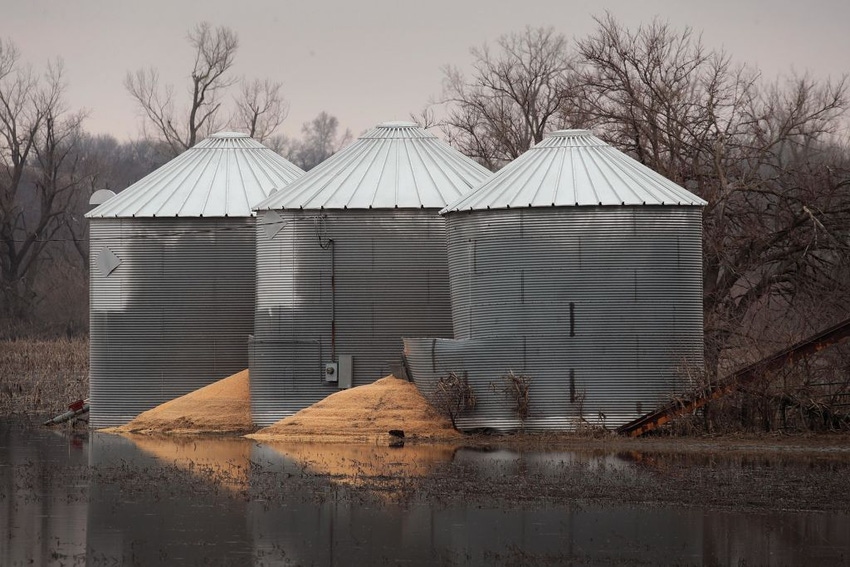 Flooded out grain