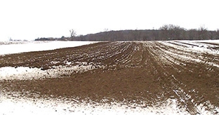 Navigating winter manure application on beef operations
