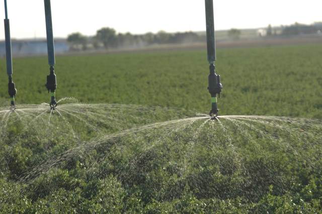 Ranchers beware: The war over water will only grow more intense Ranchers beware: The war over water will only grow more intense