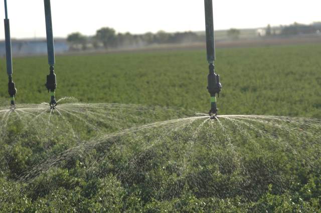 Ranchers beware: The war over water will only grow more intense