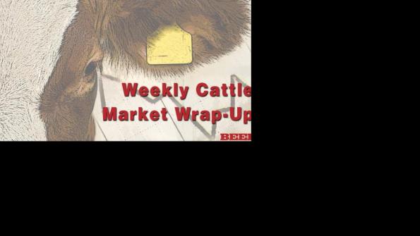 Check out BEEF’s weekly cattle market wrap-up