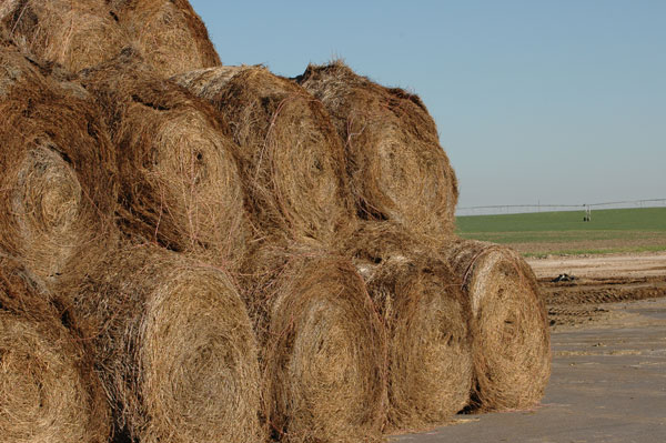 How to protect your hay investment this winter