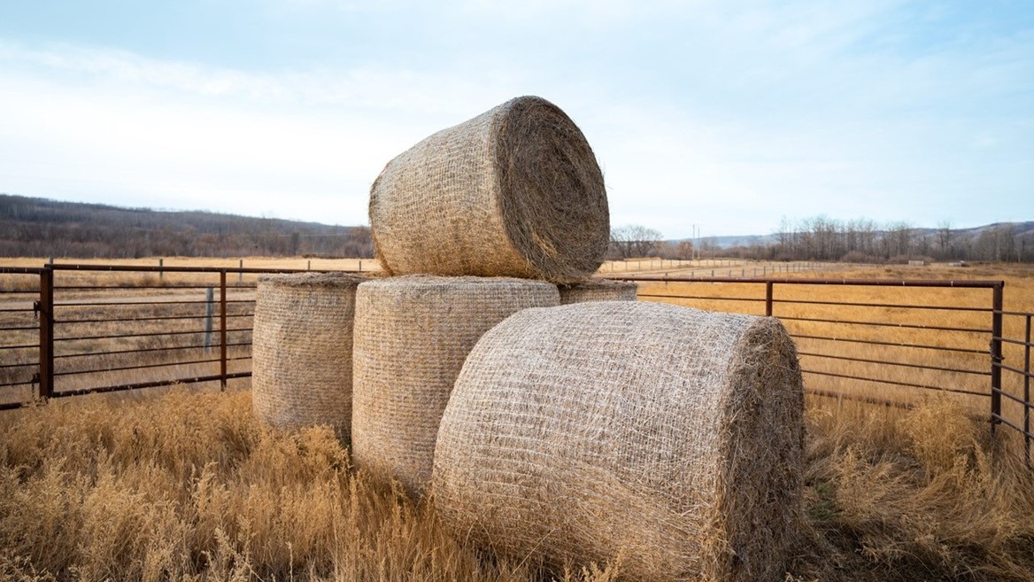 CNH invests in ecofriendly bale storage innovator Nature's Net Wrap - Vimarsana News