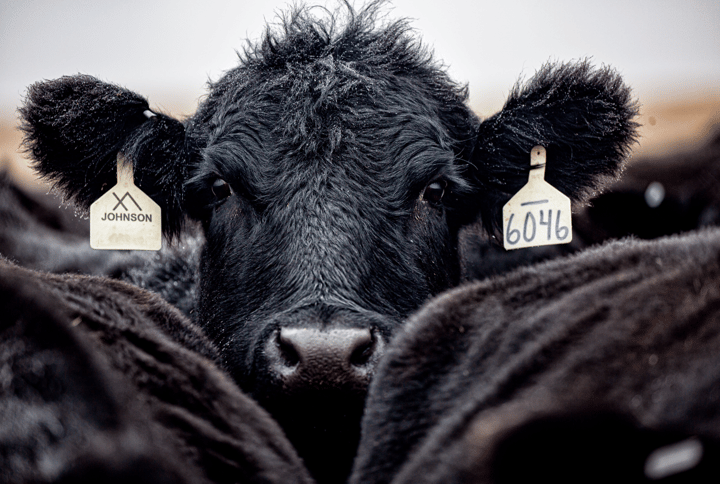 USDA awards $26.5M in value-added ag grants