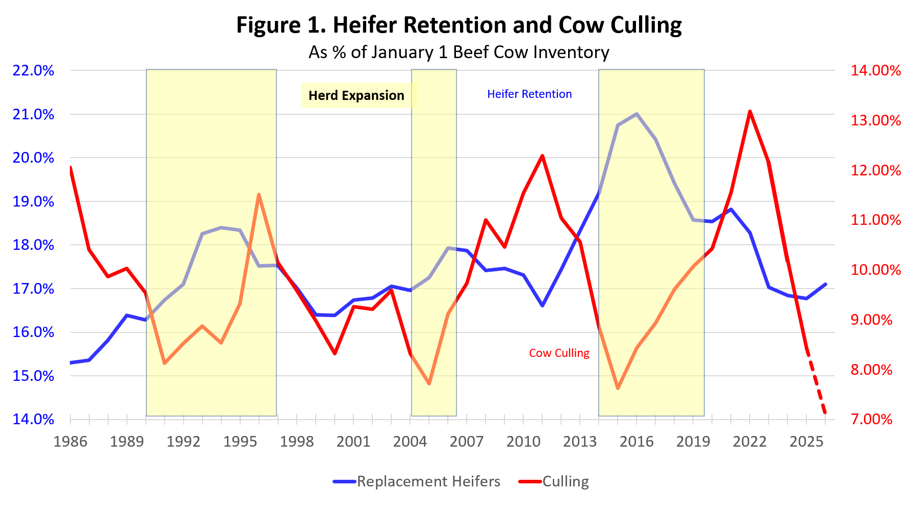 Turning the corner on the cattle cycle