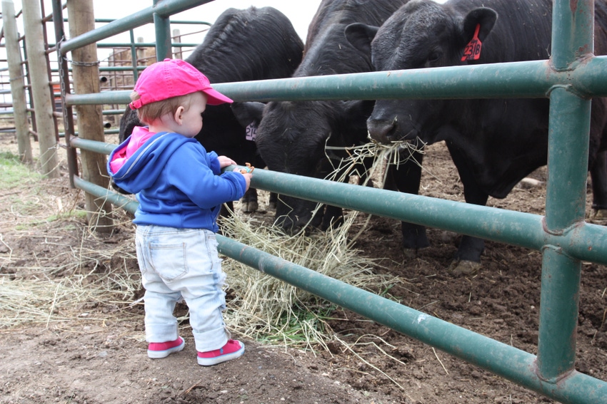 How do you achieve balance in a family ranch business?