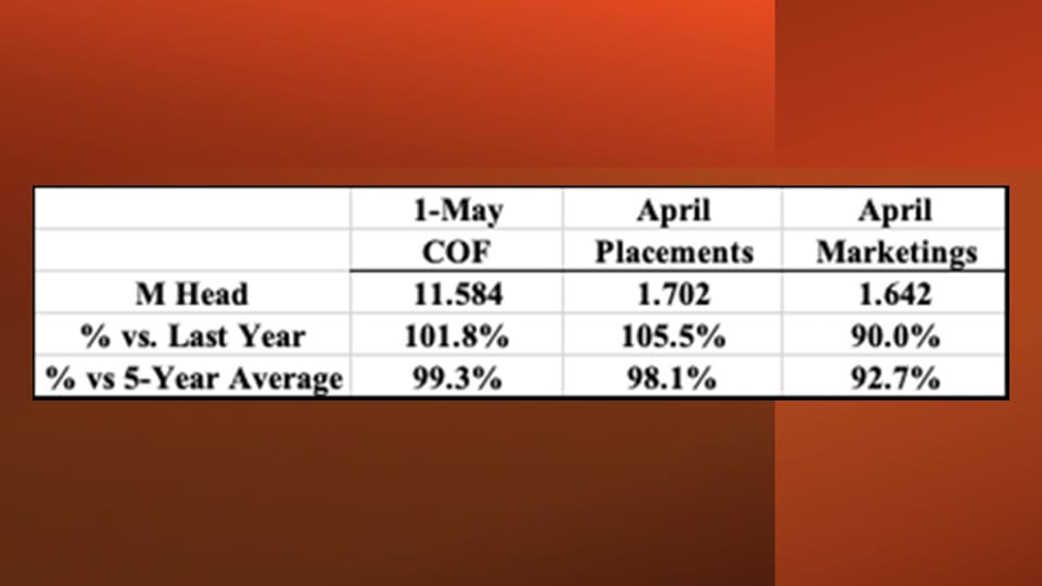 May 2026 USDA Cattle on Feed highlights