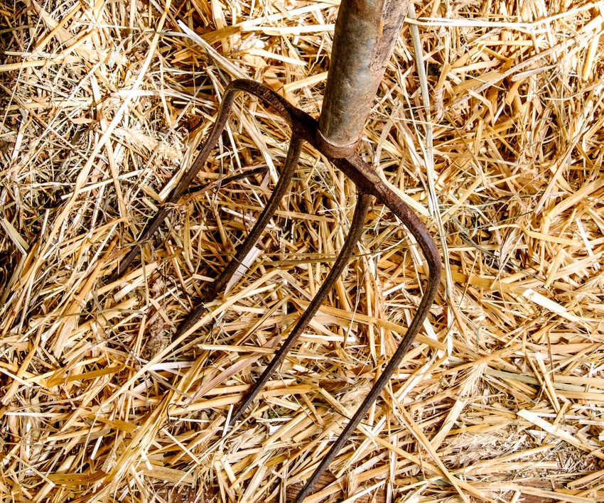 What I learned from a pitchfork What I learned from a pitchfork