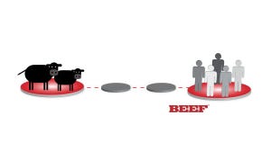 Seedstock Sector Represents Both Beginning & End Of Beef Production