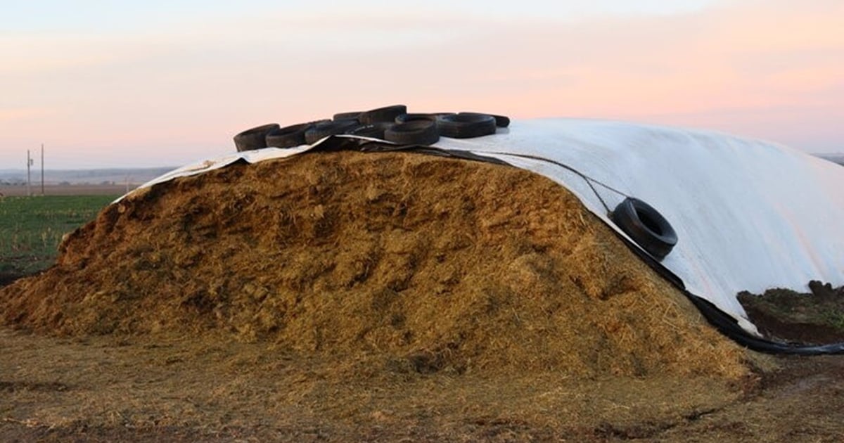 Silage Stack Netting Rothalene Planning for corn silage with safety and efficiency in mind