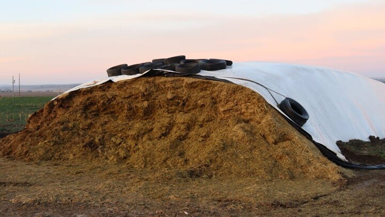 Silage Stack Design Cattle Nutrition recent news | page 3 of 22 | Beef Magazine