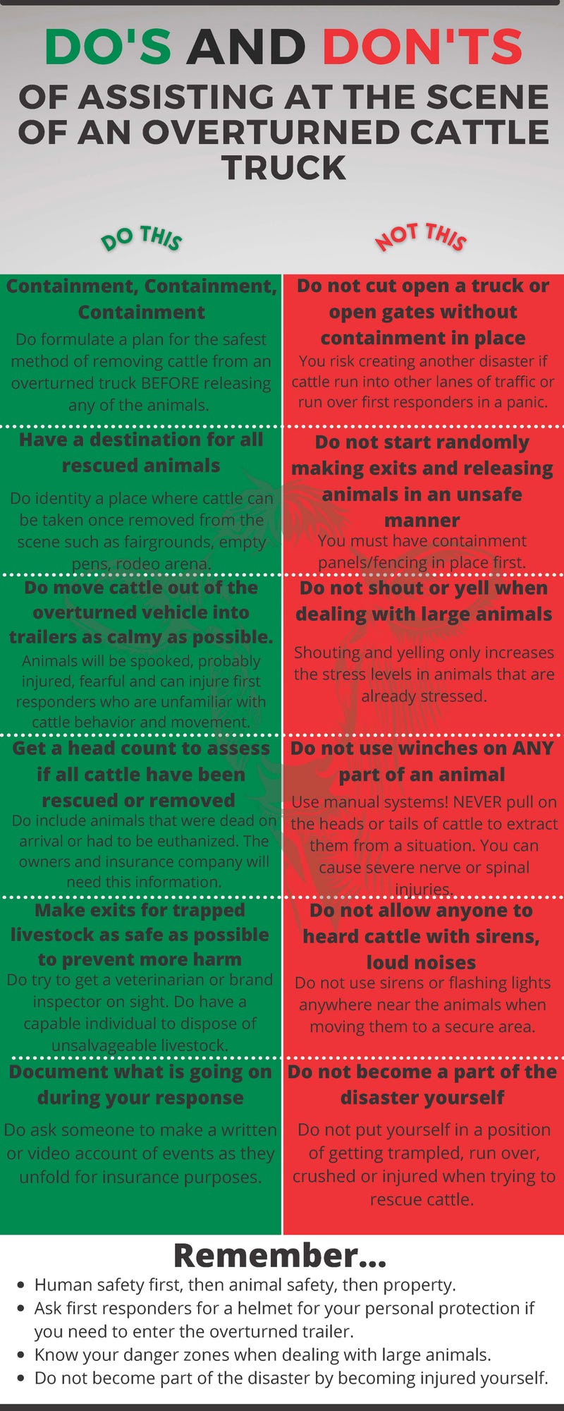Do's and Don'ts (800 x 2000 px) Infographic Beef Magazine.jpg