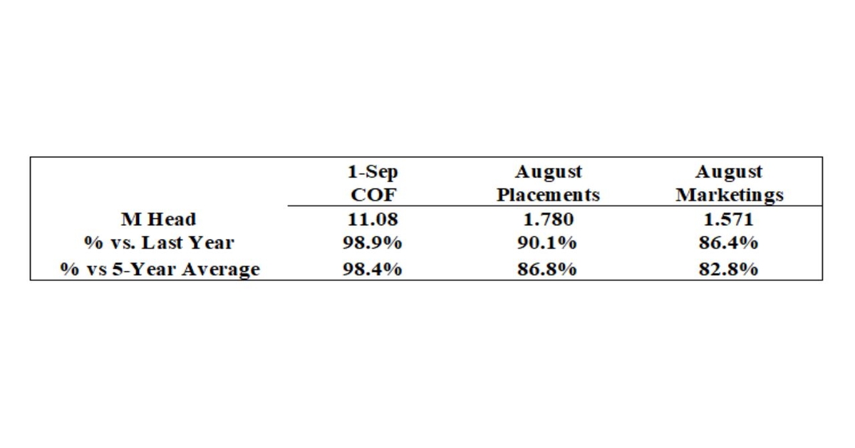 Cattle on Feed steady, marketings lag