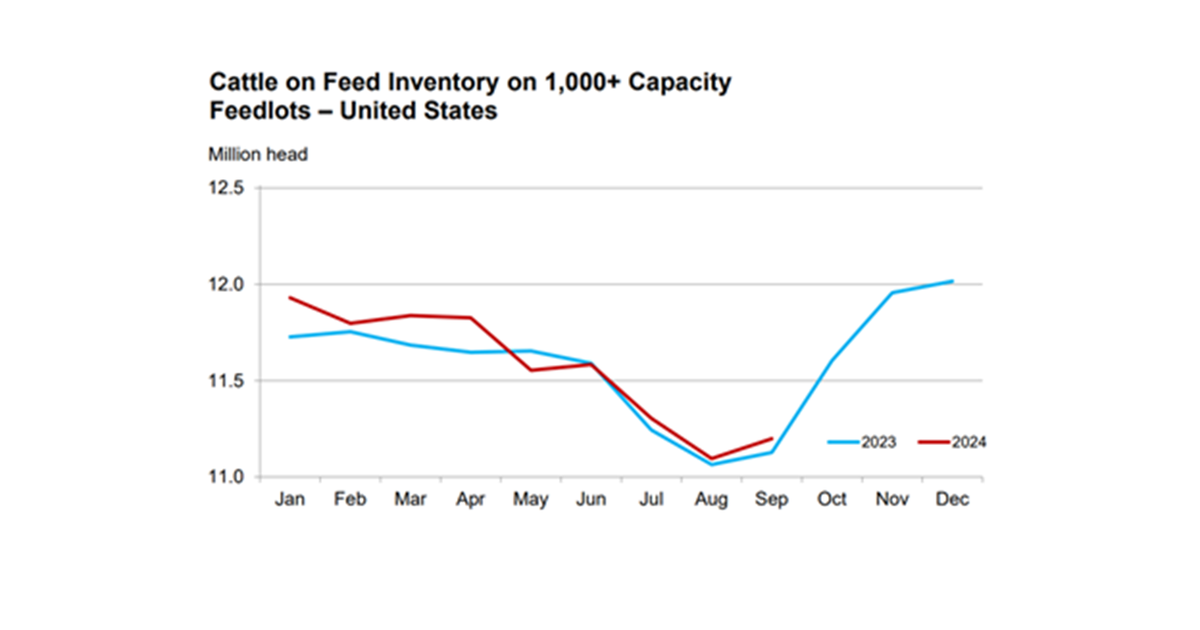 September ‘Cattle on Feed’ as expected