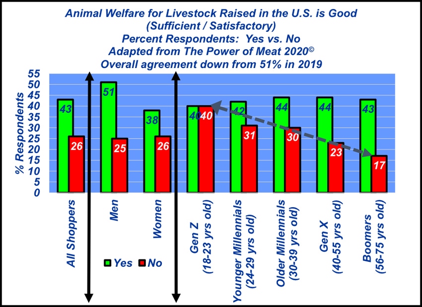 Power of Meat | Animal Welfare