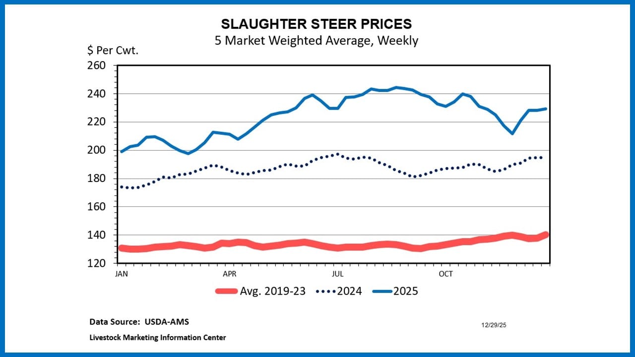 2024년, 2025년 및 2019-2023년 평균 도축용 수소 가격 차트