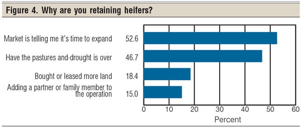 why heifer retention