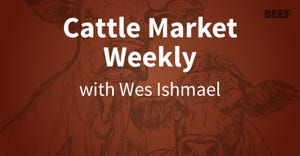 Cattle Market Weekly Audio Report for Oct. 26, 2019