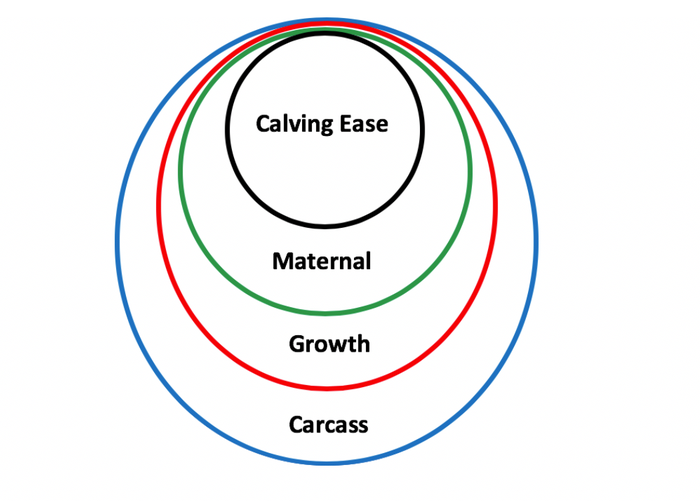 4 circles of genetic success