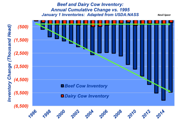 beef and dairy cow inventory