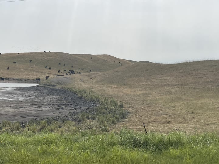 Grazing management key to drought recovery and resilience