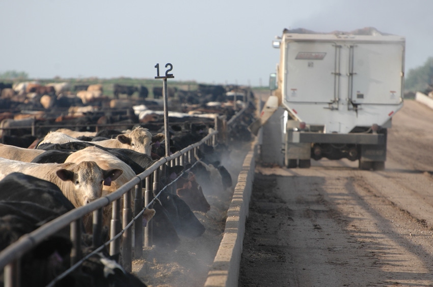 Why The Cattle Market Is At A Critical Juncture