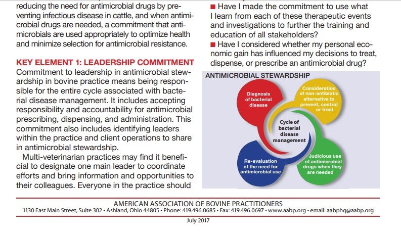 Antimicrobial stewardship guidelines available from AABP