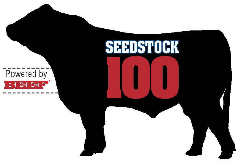 Nation’s top bull sellers are seeding beef’s future