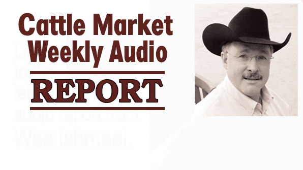 Cattle Market Weekly Audio Report, Saturday, Mar. 11, 2017