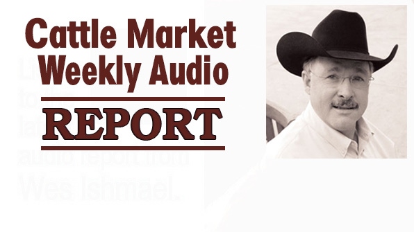 Cattle Market Weekly Audio Report, Saturday, Mar. 18, 2017 Cattle Market Weekly Audio Report, Saturday, Mar. 18, 2017