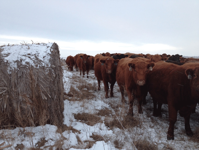 What changes with weaning when you calve in May?