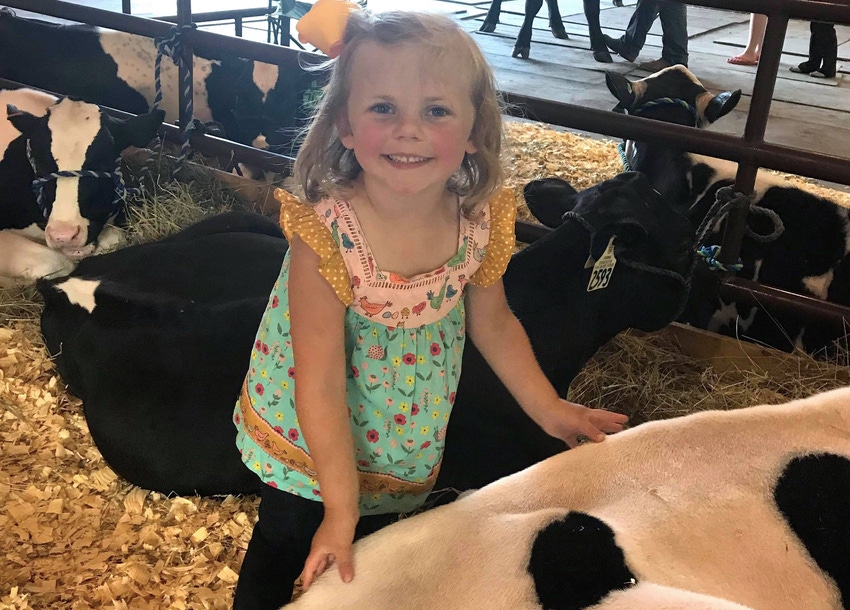 4 life lessons from the county fair 4 life lessons from the county fair