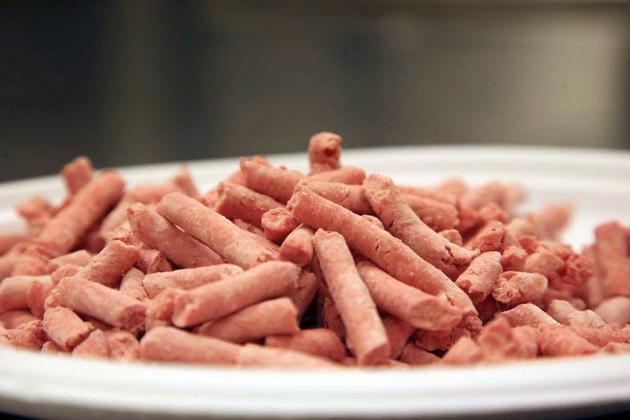 Secretary of Ag Tom Vilsack And Iowa Governor Defend Safety And Nutrition Of Lean Finely Textured Beef Secretary of Ag Tom Vilsack And Iowa Governor Defend Safety And Nutrition Of Lean Finely Textured Beef