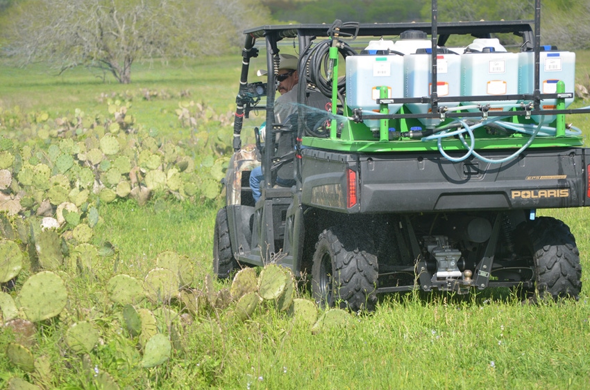 Pricklypear control helps replenish pastures