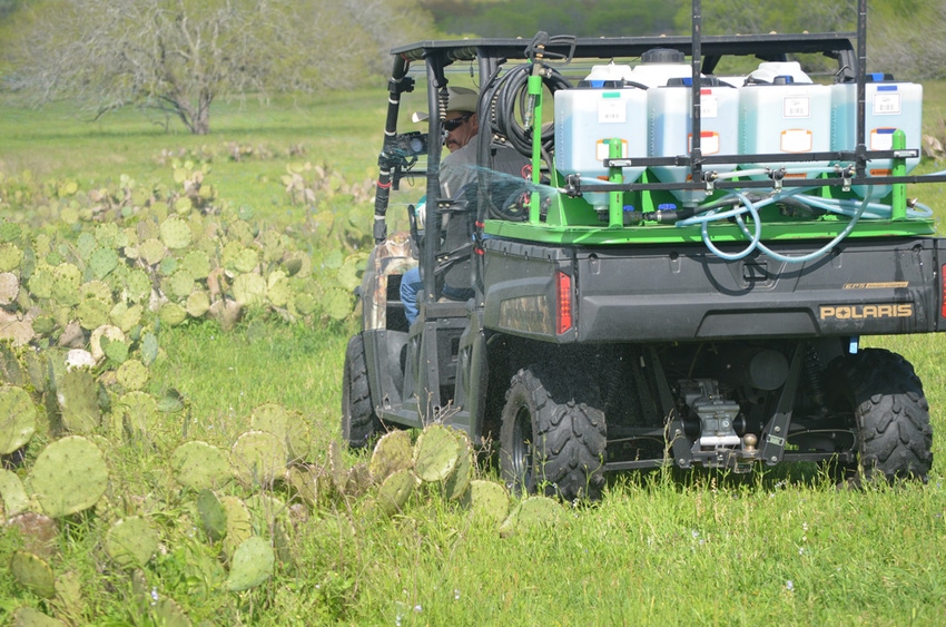 Pricklypear control helps replenish pastures Pricklypear control helps replenish pastures