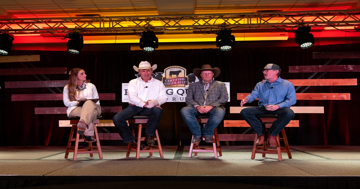 Better cattle bring opportunity