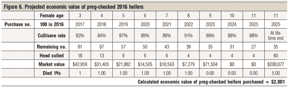 economic value of preg=checked heifer 2016