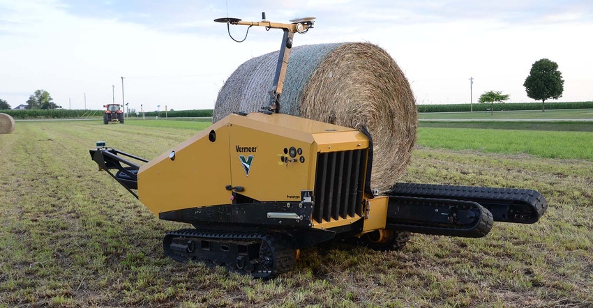 The Bale Hawk from Vermeer The Bale Hawk from Vermeer