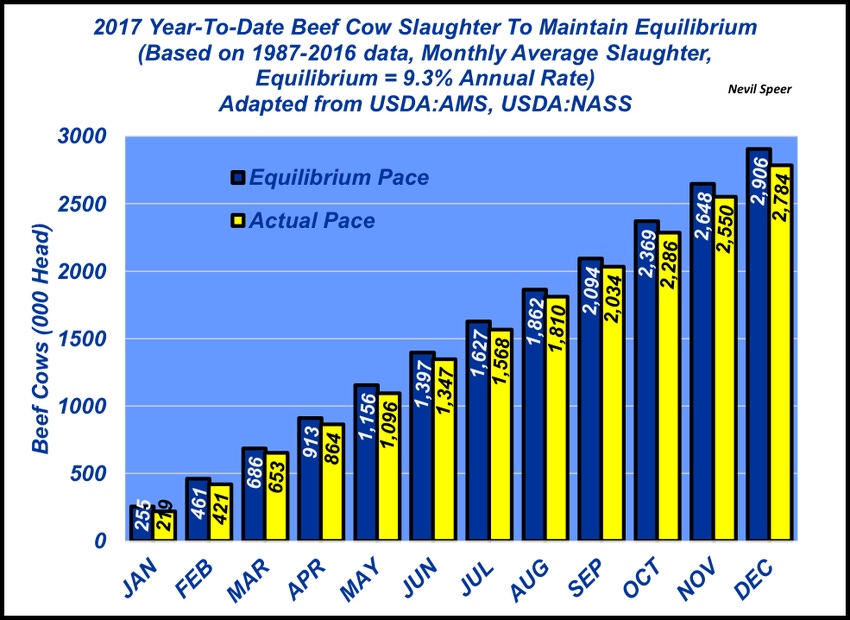 Implications of 2017 cow slaughter Implications of 2017 cow slaughter
