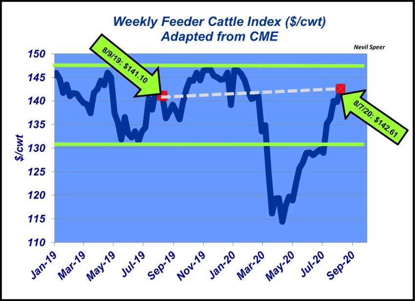 Feeder cattle rebound