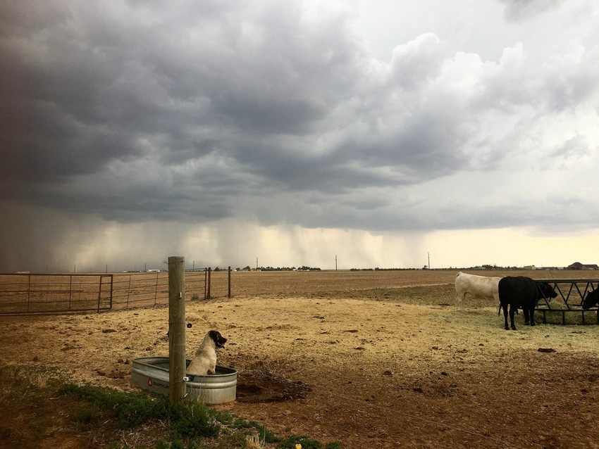Last call for “Quiet moments on the ranch” photos Last call for “Quiet moments on the ranch” photos